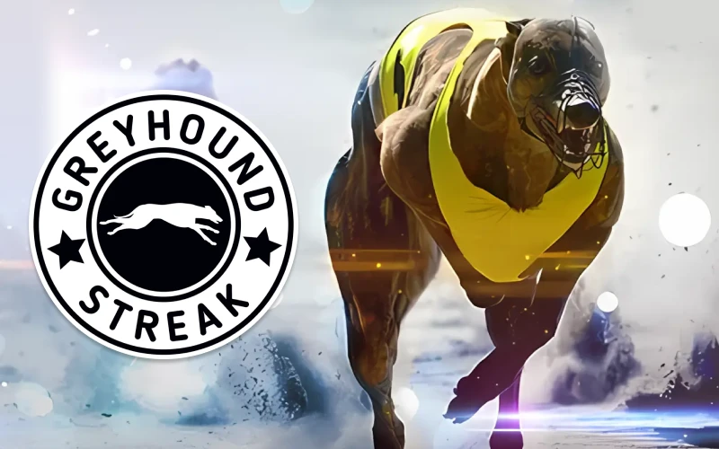 Wager on Greyhounds Streak races with Glassi casino.